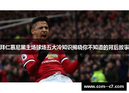 拜仁慕尼黑主场球场五大冷知识揭晓你不知道的背后故事