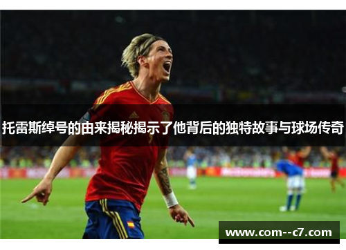 托雷斯绰号的由来揭秘揭示了他背后的独特故事与球场传奇