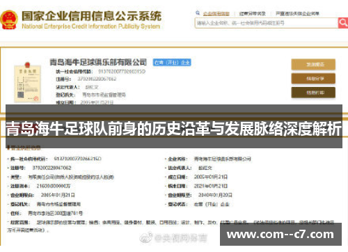 青岛海牛足球队前身的历史沿革与发展脉络深度解析 青岛海牛足球队前身的历史沿革与发展脉络深度解析