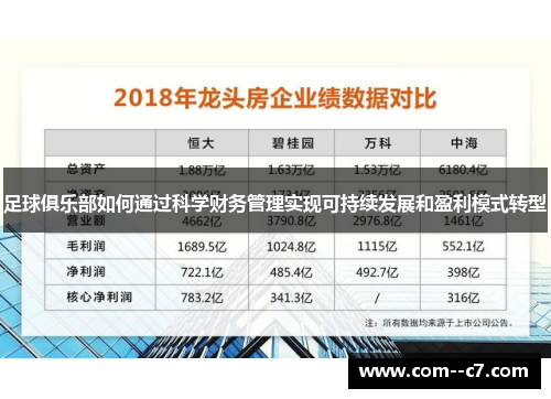 足球俱乐部如何通过科学财务管理实现可持续发展和盈利模式转型 足球俱乐部如何通过科学财务管理实现可持续发展和盈利模式转型