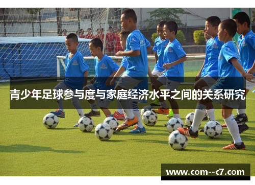 青少年足球参与度与家庭经济水平之间的关系研究