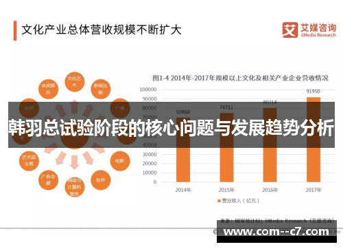 韩羽总试验阶段的核心问题与发展趋势分析