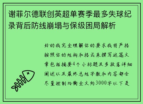 谢菲尔德联创英超单赛季最多失球纪录背后防线崩塌与保级困局解析