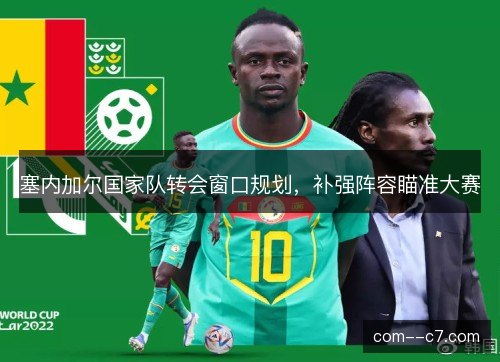 塞内加尔国家队转会窗口规划,补强阵容瞄准大赛 塞内加尔国家队转会窗口规划,补强阵容瞄准大赛